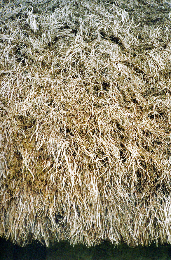 Thatching Material Other Thatching Materials | Thatching Info.com